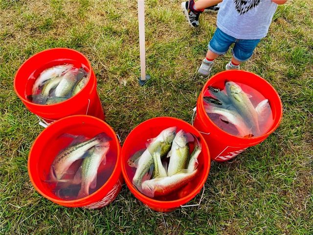 104 SW Shores Drive, Lee's Summit, MO 64064