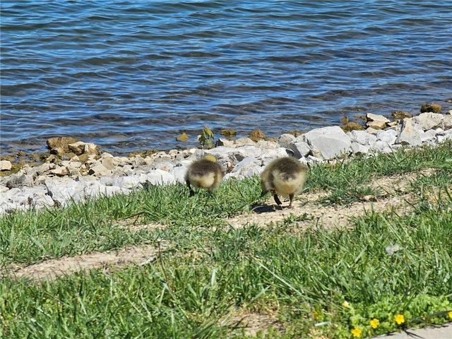 104 SW Shores Drive, Lee's Summit, MO 64064