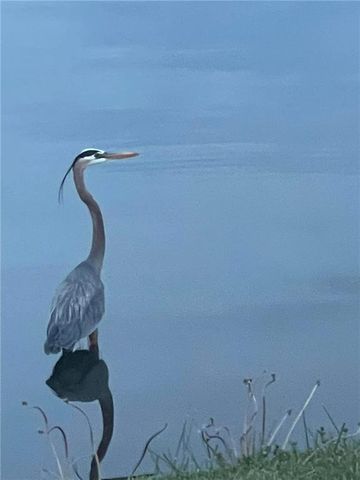 104 SW Shores Drive, Lee's Summit, MO 64064