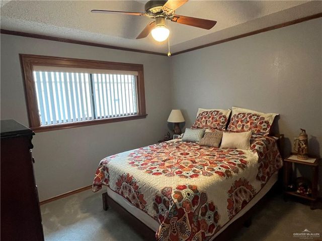847 Palm Drive, Alamo, TX 78516