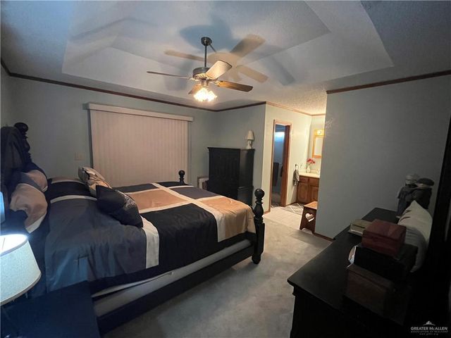 847 Palm Drive, Alamo, TX 78516