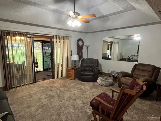 847 Palm Drive, Alamo, TX 78516