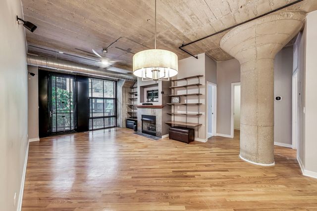 1110 W 15th Street 218, Chicago, IL 60608