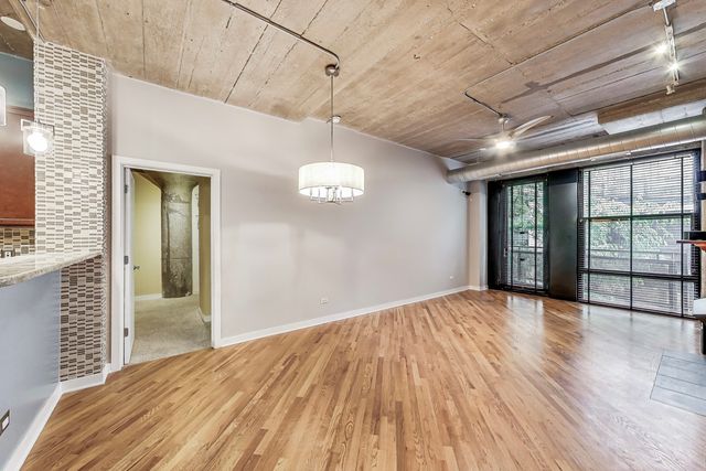1110 W 15th Street 218, Chicago, IL 60608