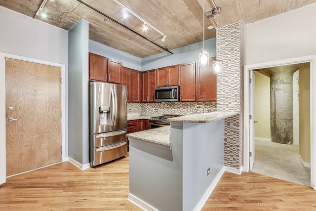 1110 W 15th Street 218, Chicago, IL 60608