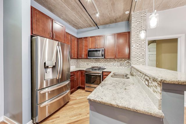 1110 W 15th Street 218, Chicago, IL 60608