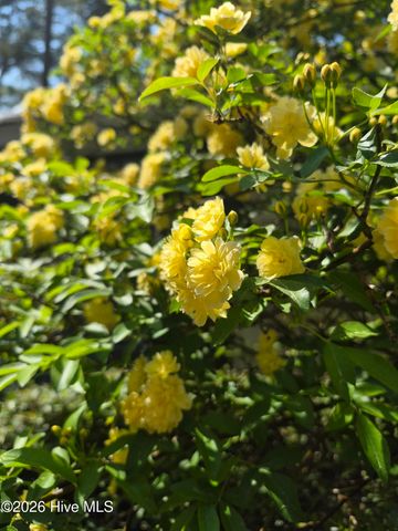 370 E Morganton Road, Southern Pines, NC 28387