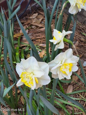 370 E Morganton Road, Southern Pines, NC 28387