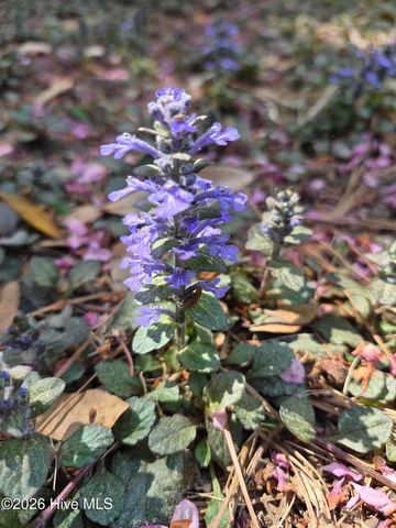 370 E Morganton Road, Southern Pines, NC 28387