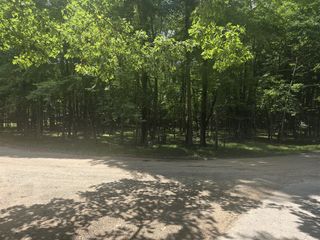 12121 Trail Creek, Canadian Lakes, MI 49346