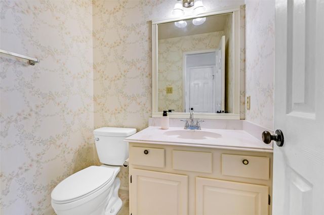 17214 Palm Falls Court, Houston, TX 77095