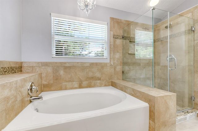 17214 Palm Falls Court, Houston, TX 77095