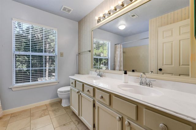 17214 Palm Falls Court, Houston, TX 77095