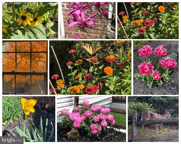 1111 CANON WAY, Westminster, MD 21157