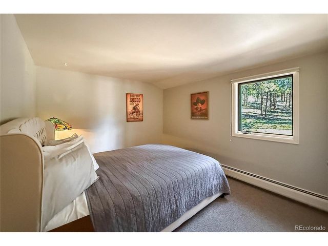 850 East Ln, Estes Park, CO 80517