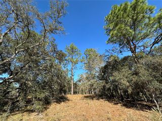 14731 SE 5TH PLACE, Williston, FL 32696
