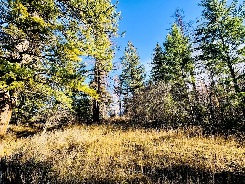 1262 Riverside Road, Bigfork, MT 59911 photo 10