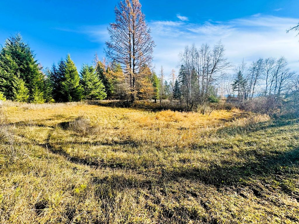 1262 Riverside Road, Bigfork, MT 59911 photo 12