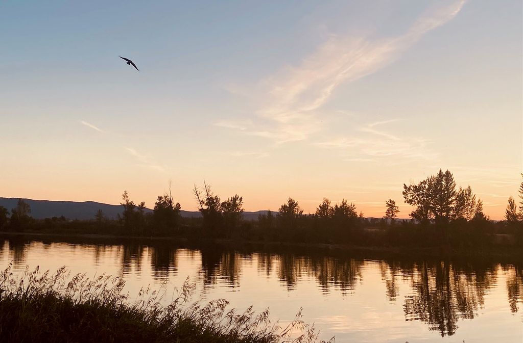 1262 Riverside Road, Bigfork, MT 59911 photo 19