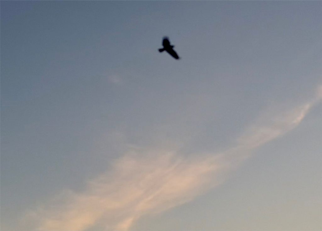 1262 Riverside Road, Bigfork, MT 59911 photo 20