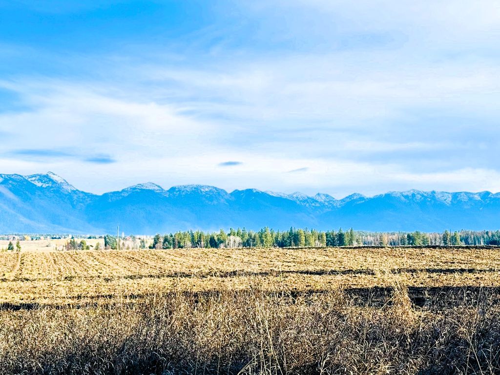 1262 Riverside Road, Bigfork, MT 59911 photo 3