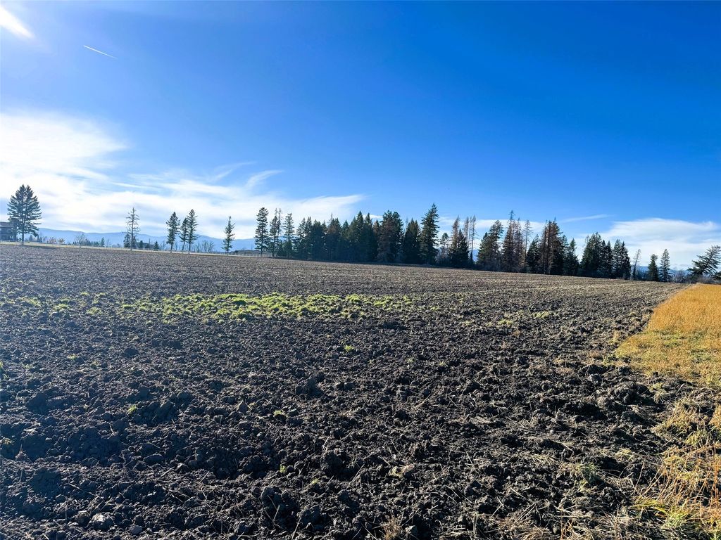 1262 Riverside Road, Bigfork, MT 59911 photo 7