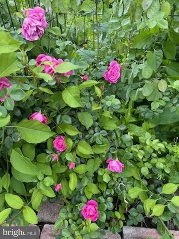 130 OTIS AVE, Tuckerton, NJ 08087