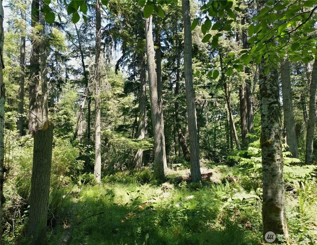737 Twin View Drive, Greenbank, WA 98253
