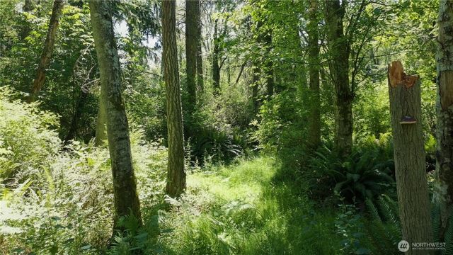 737 Twin View Drive, Greenbank, WA 98253