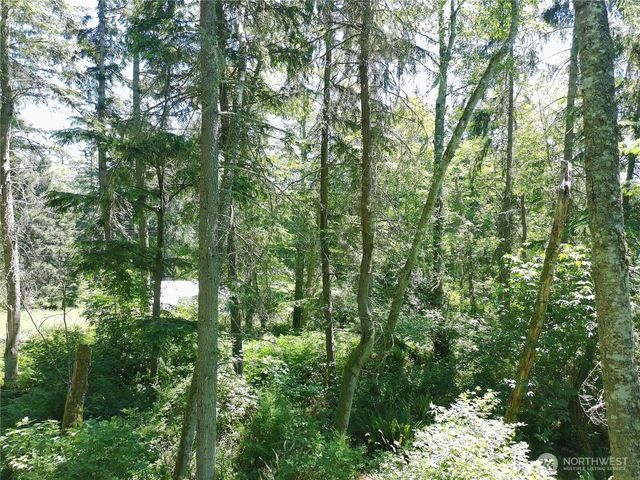 737 Twin View Drive, Greenbank, WA 98253