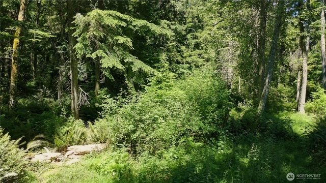 737 Twin View Drive, Greenbank, WA 98253