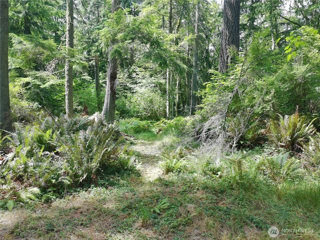 737 Twin View Drive, Greenbank, WA 98253