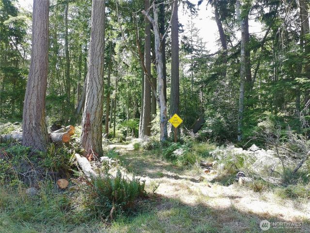737 Twin View Drive, Greenbank, WA 98253