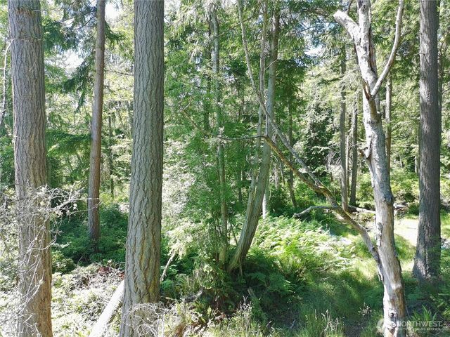 737 Twin View Drive, Greenbank, WA 98253