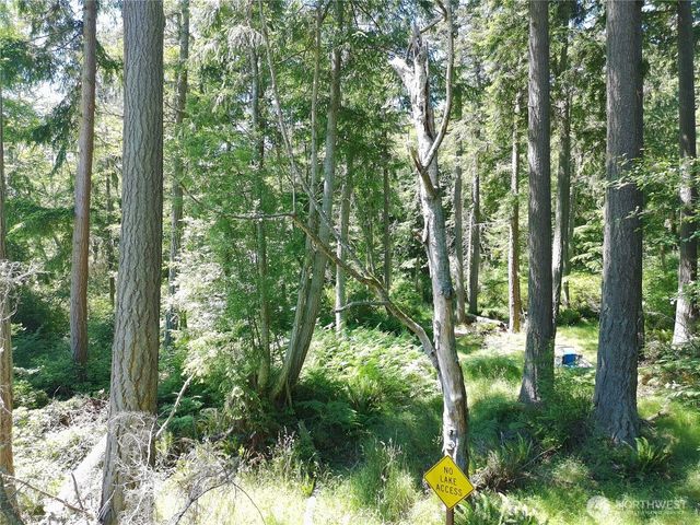 737 Twin View Drive, Greenbank, WA 98253