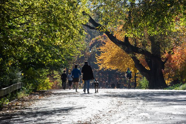 676 Union Street TH, New York City, NY 11215