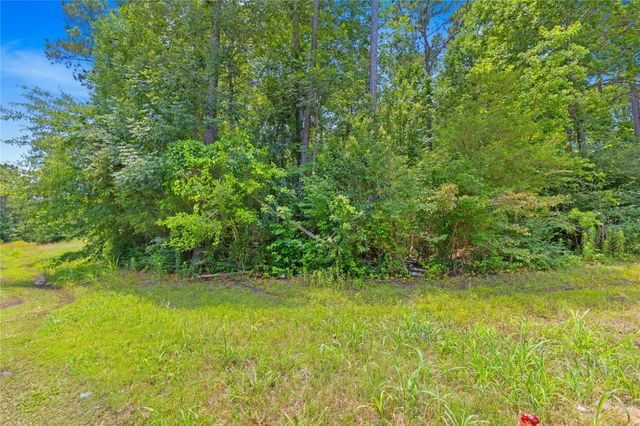 TBD 5.35Ac Lot Spring Branch Road, Montgomery, TX 77316