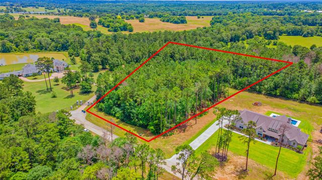 TBD 5.35Ac Lot Spring Branch Road, Montgomery, TX 77316