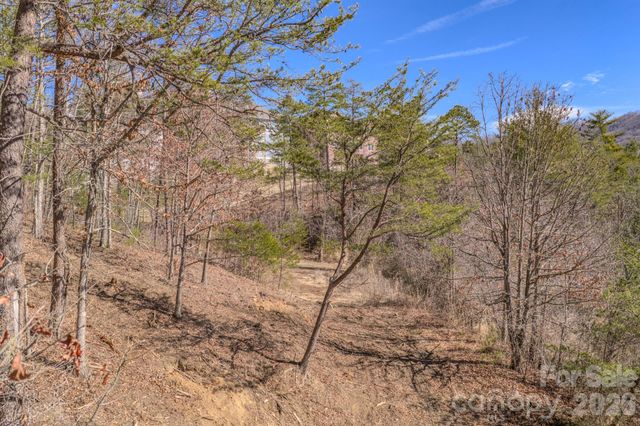 99999 Ralph Lunsford Road Lot 2, Weaverville, NC 28787