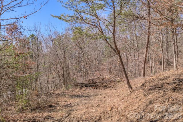 99999 Ralph Lunsford Road Lot 2, Weaverville, NC 28787