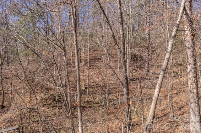 99999 Ralph Lunsford Road Lot 2, Weaverville, NC 28787
