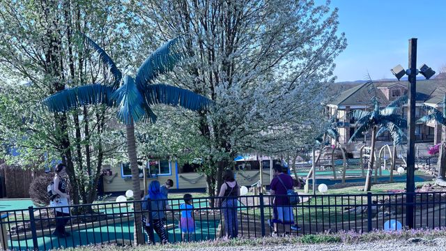 152 Oakridge Road 1, Branson, MO 65616