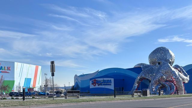 152 Oakridge Road 1, Branson, MO 65616