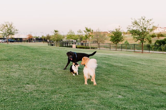 14344 Walsh Avenue, Fort Worth, TX 76008