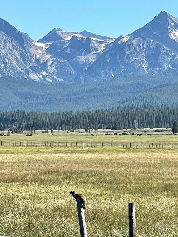 TBD Hwy 21, Stanley, ID 83278 photo 10