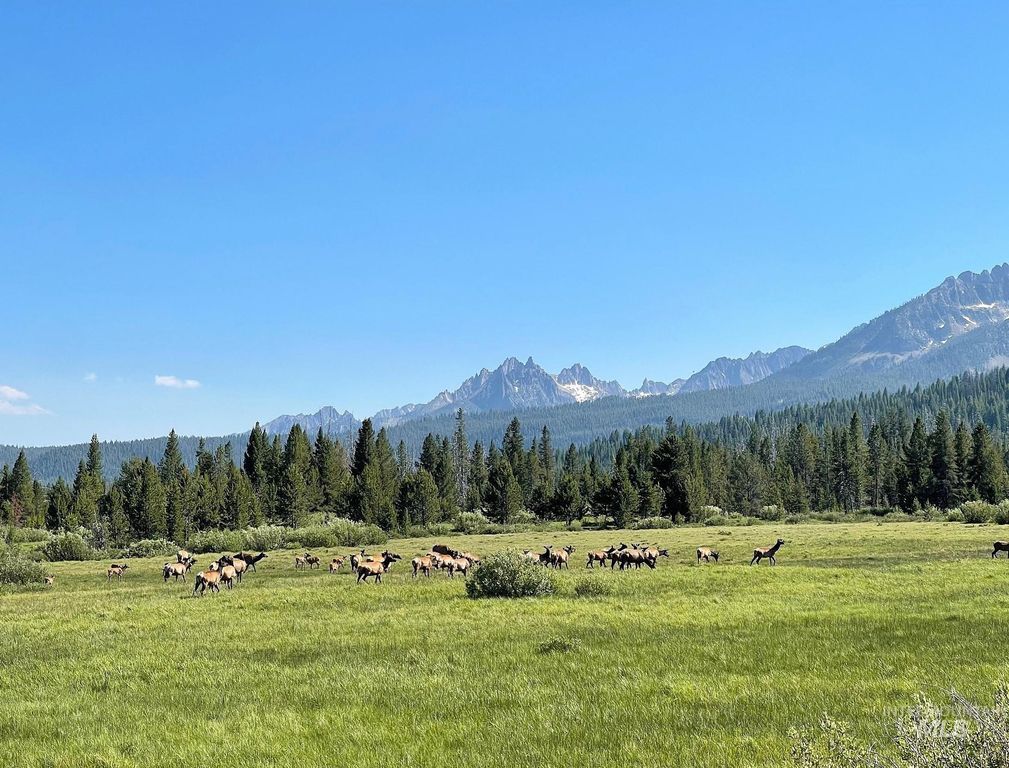 TBD Hwy 21, Stanley, ID 83278 photo 6