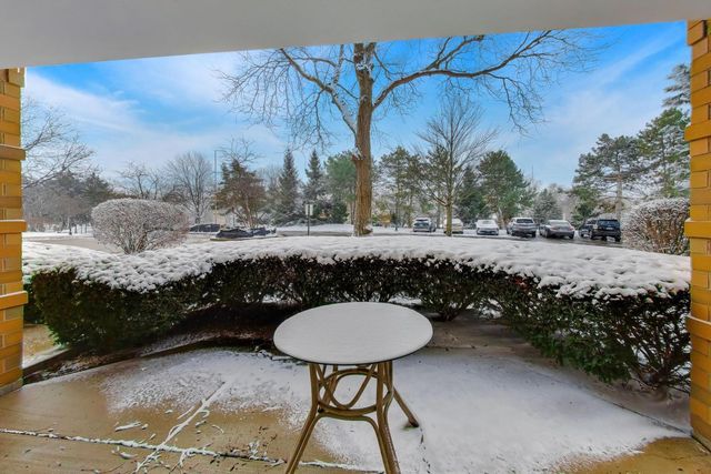 710 Creekside Drive 110A, Mount Prospect, IL 60056