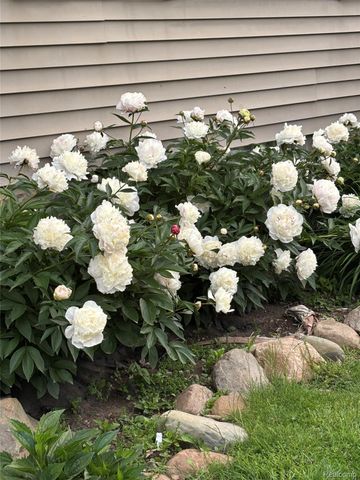 67325 Lowe Plank Road, Lenox Township, MI 48050