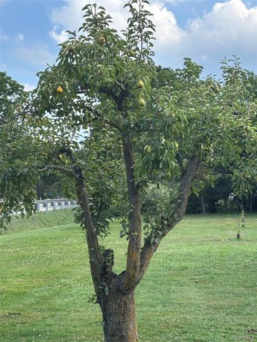 67325 Lowe Plank Road, Lenox Township, MI 48050