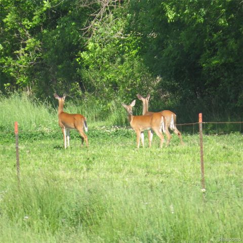 67325 Lowe Plank Road, Lenox Township, MI 48050